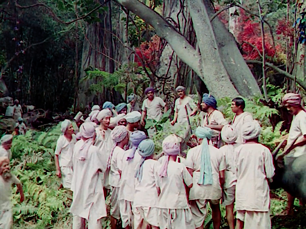 The Jungle Book