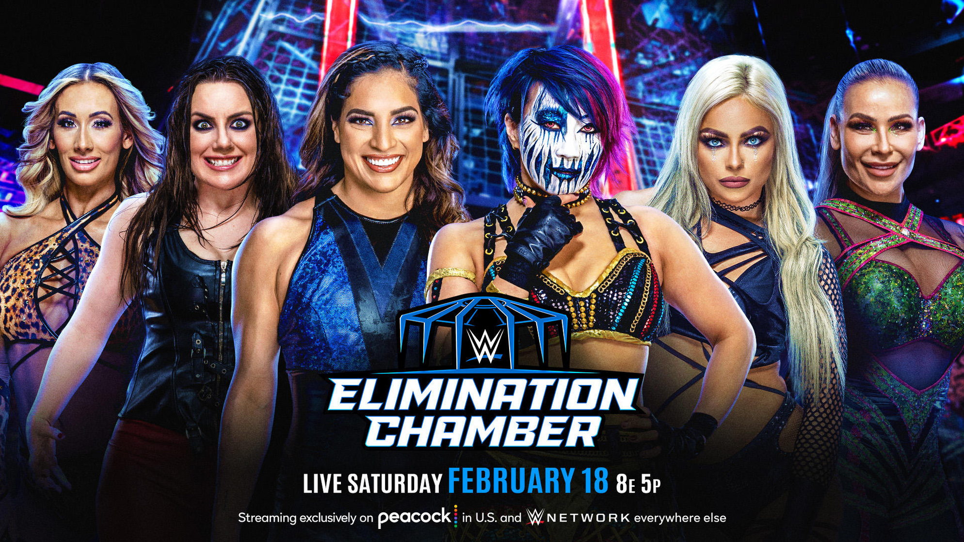 Picture of WWE Elimination Chamber