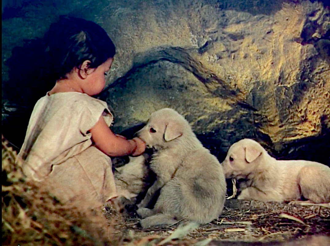 The Jungle Book