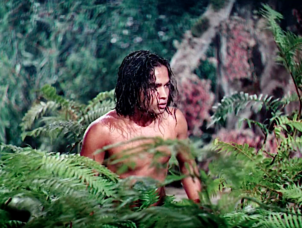 The Jungle Book