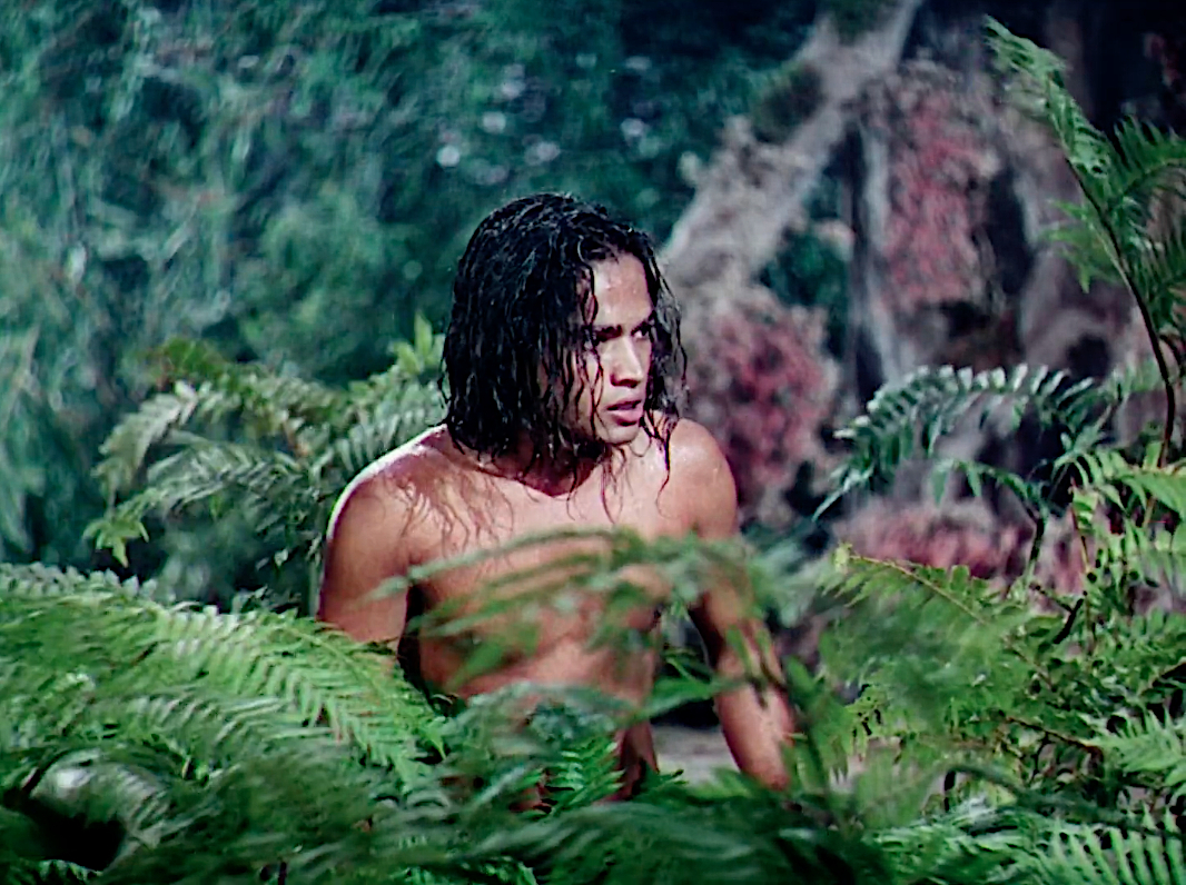 The Jungle Book