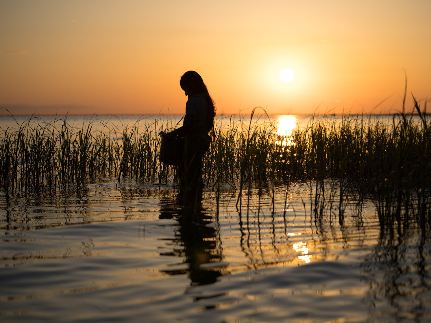 Where the Crawdads Sing