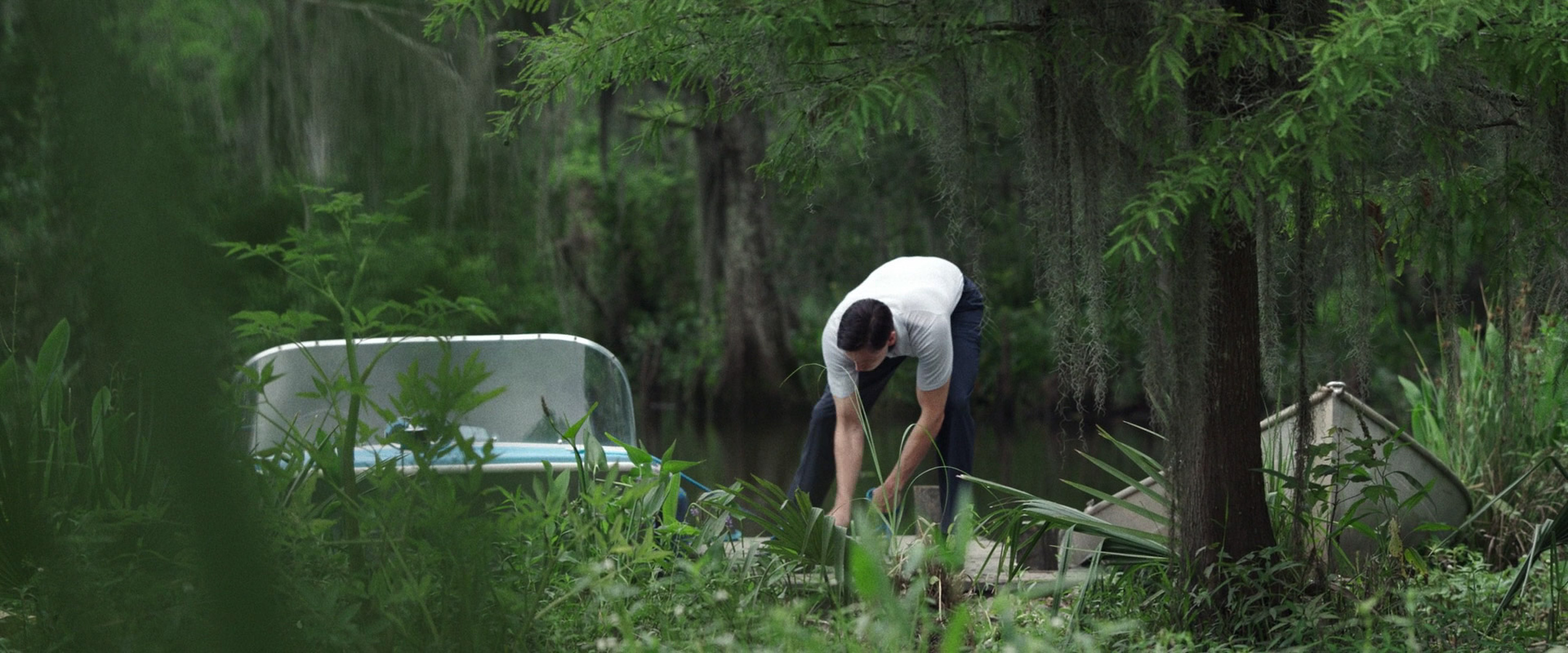 Where the Crawdads Sing