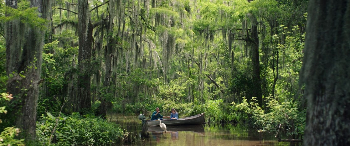 Where the Crawdads Sing