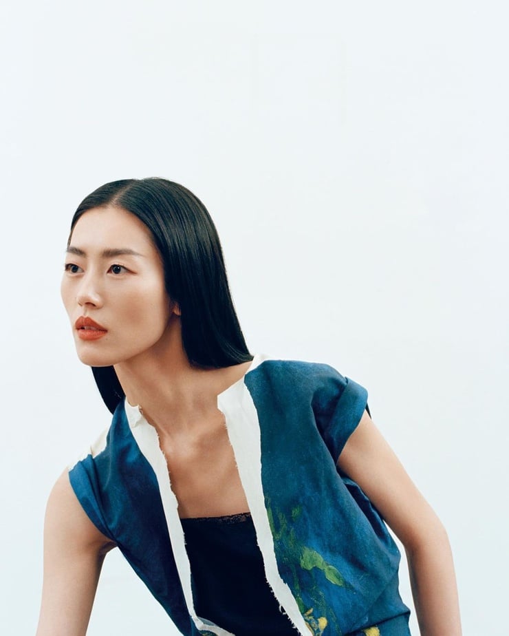 Picture of Liu Wen