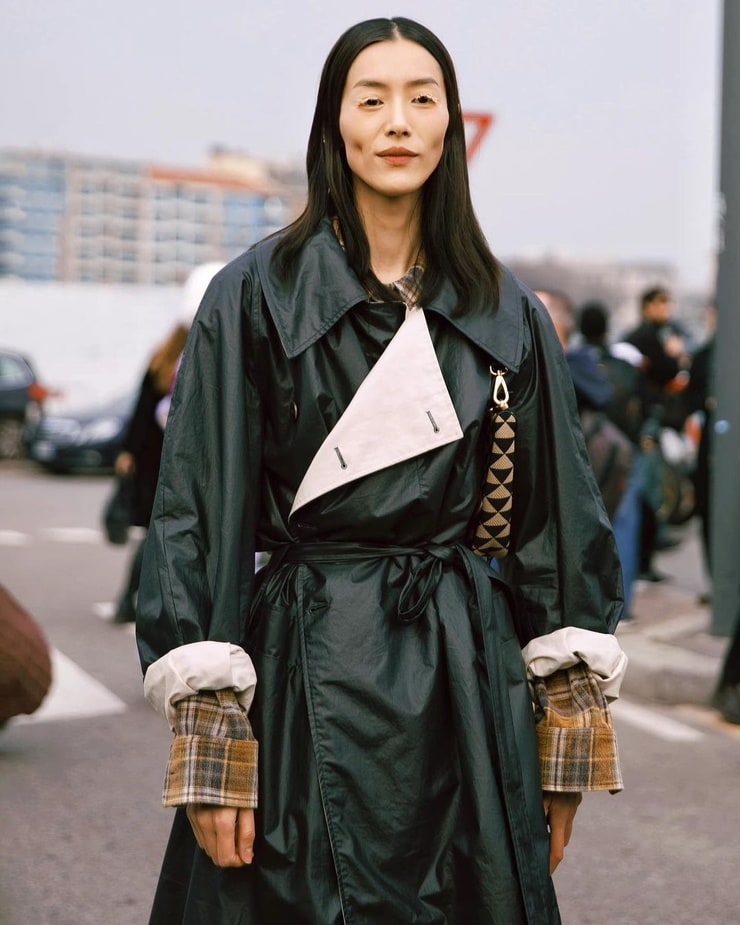 Liu Wen image