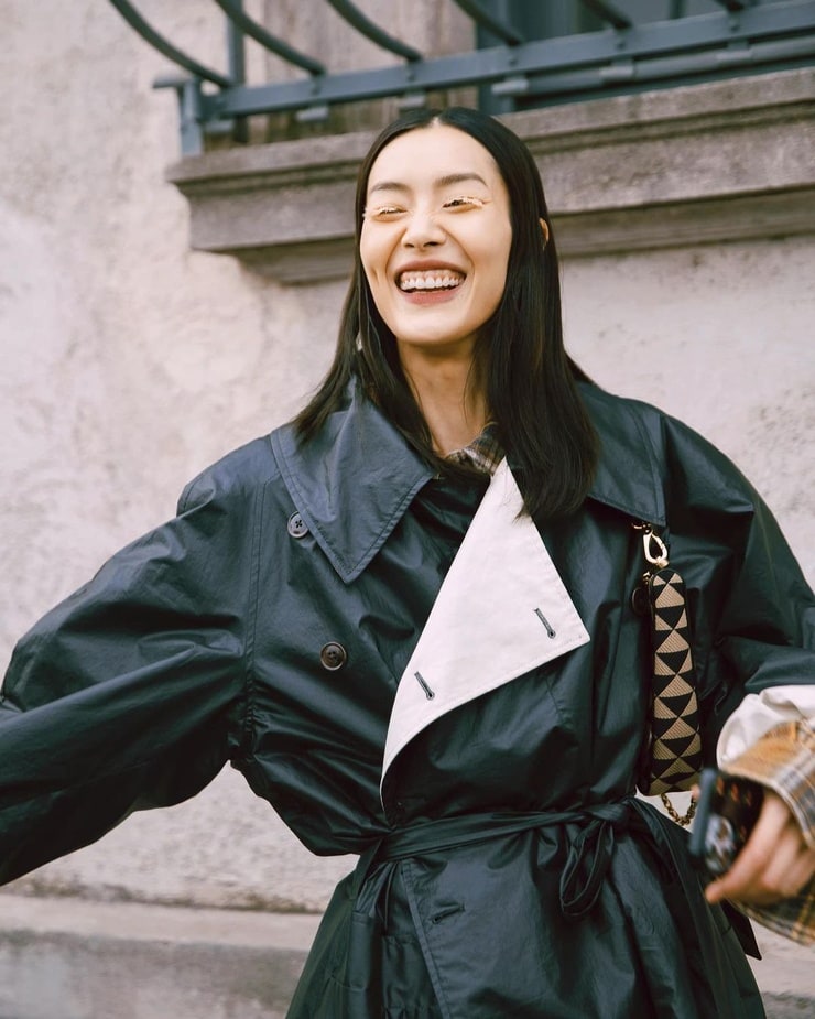 Picture of Liu Wen