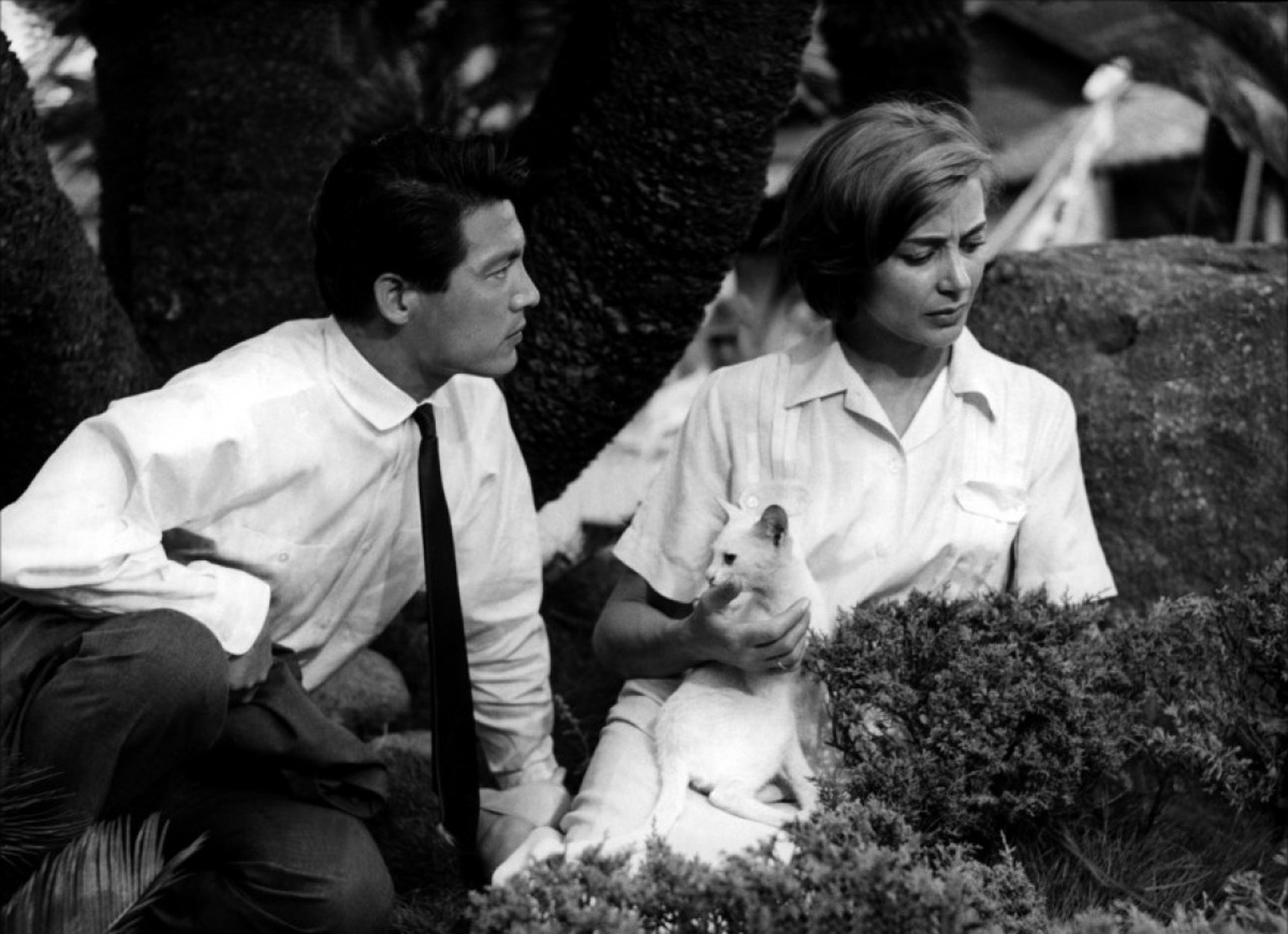 Hiroshima Mon amour Hiroshima Mon amour