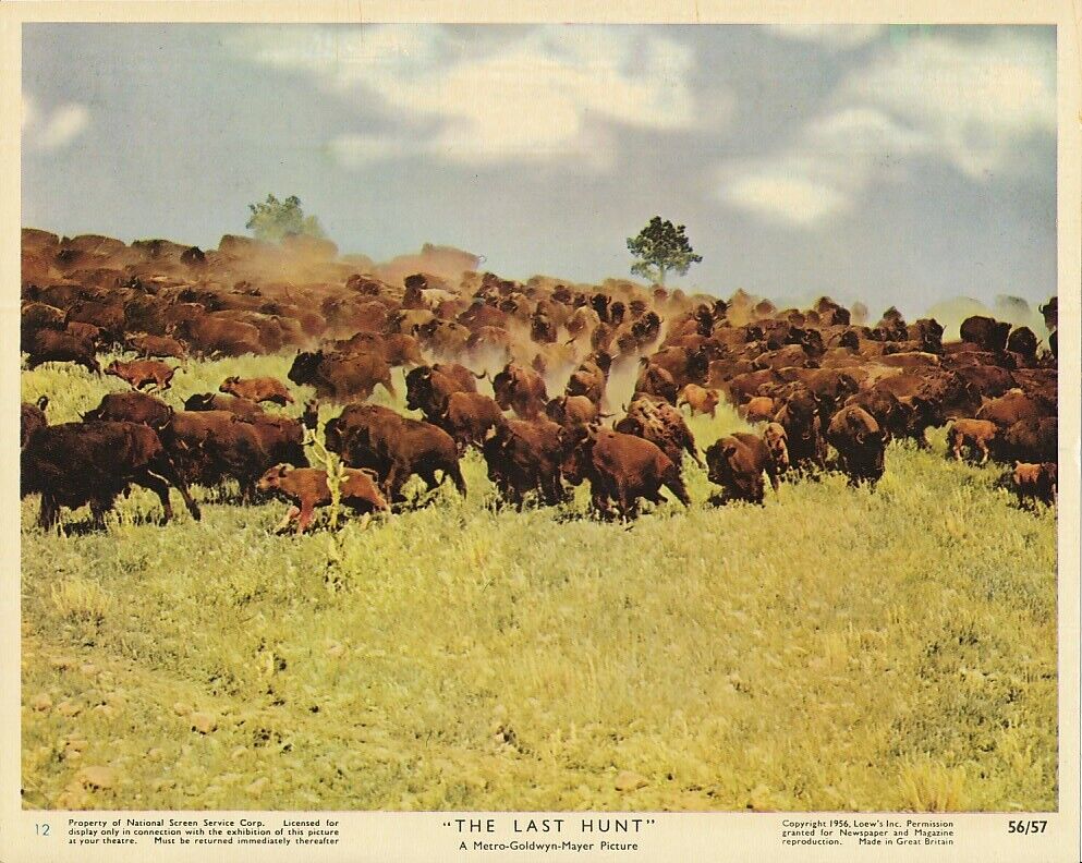 The Last Hunt