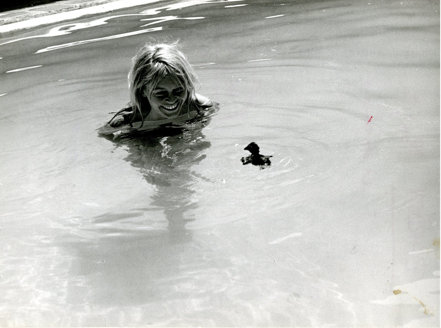 Brigitte Bardot Brigitte Bardot