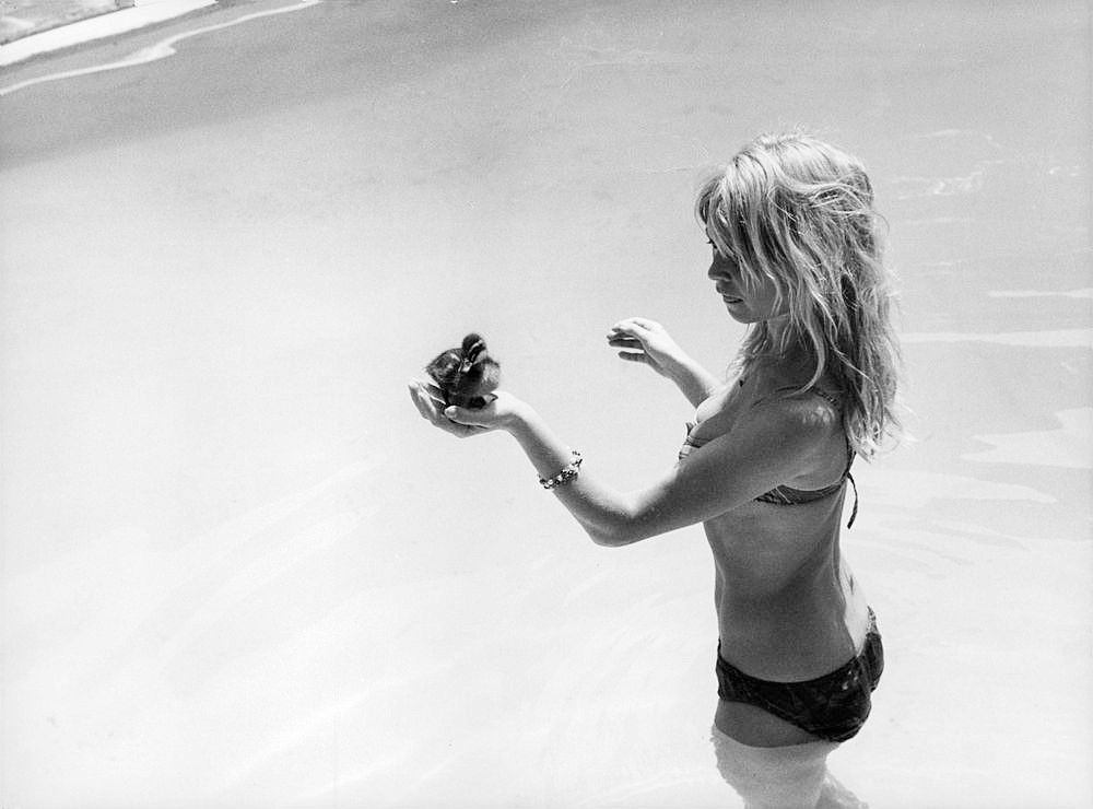 Brigitte Bardot Brigitte Bardot