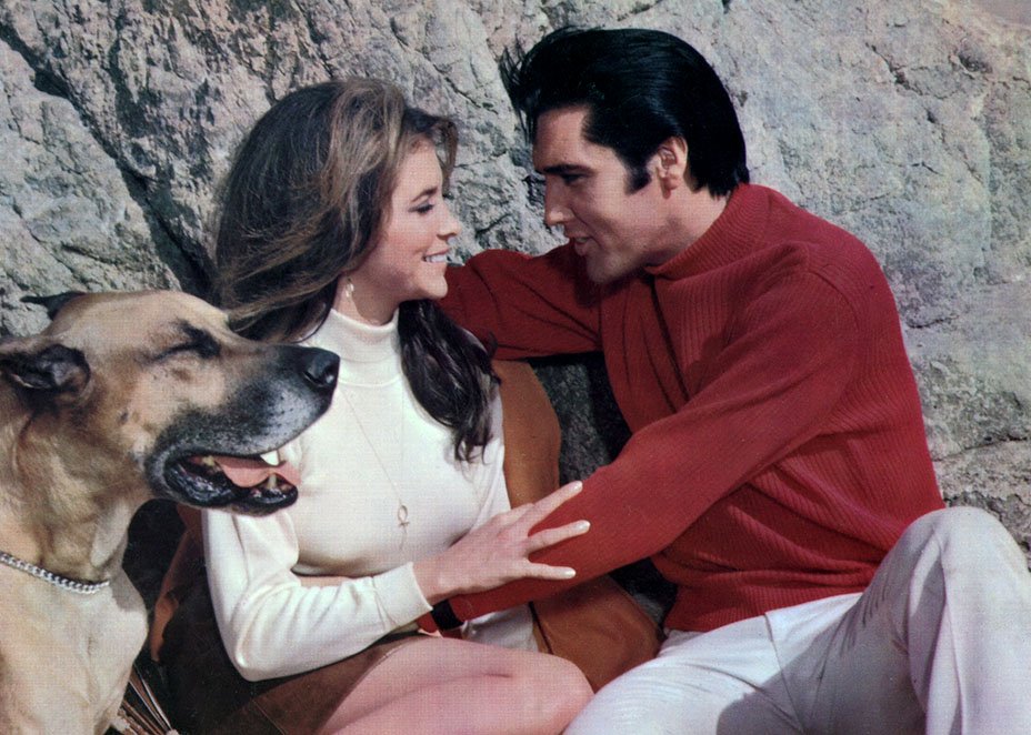 Michele Carey