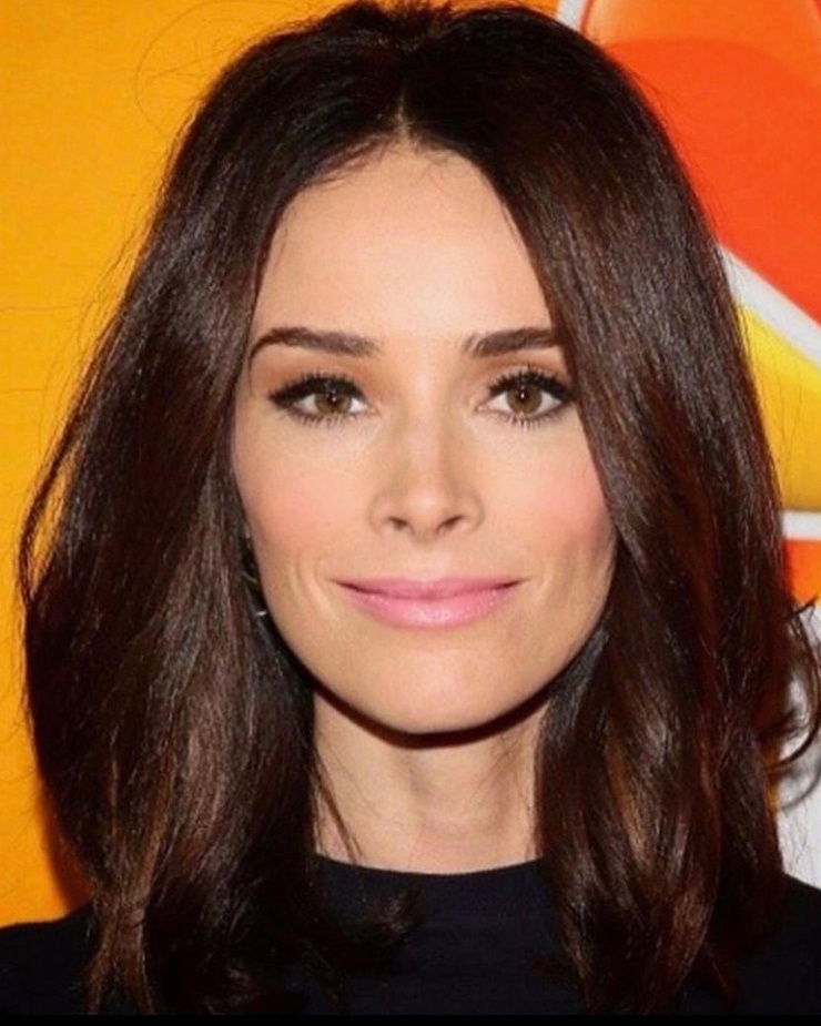 Abigail Spencer picture