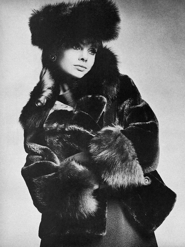 Picture of Jean Shrimpton