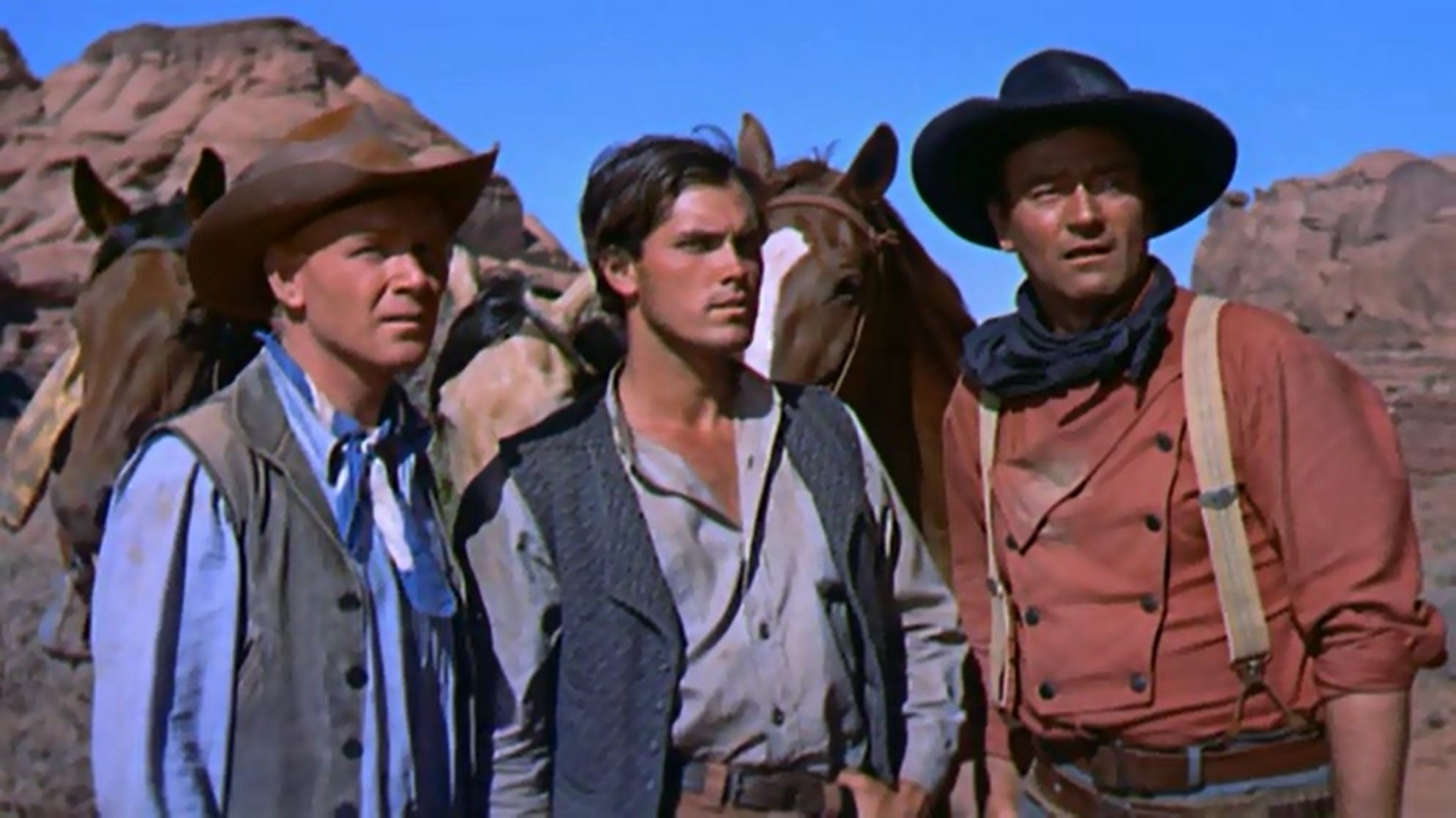 Picture of The Searchers