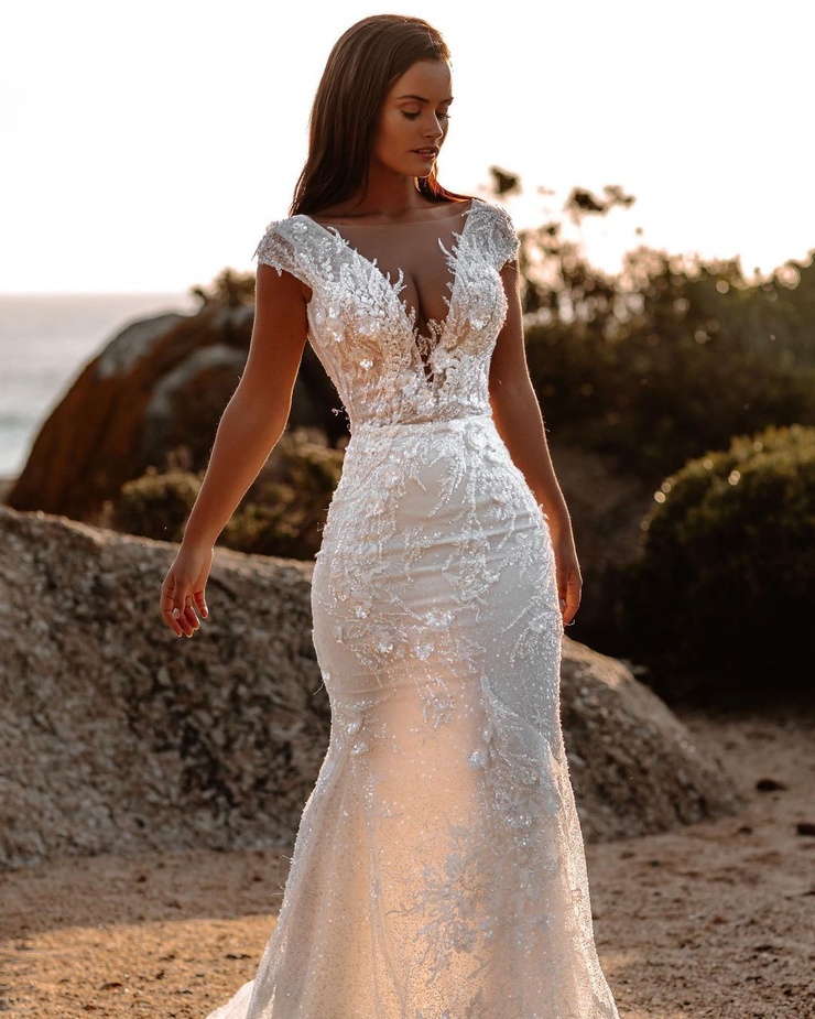 Picture of Dehandré van Tonder