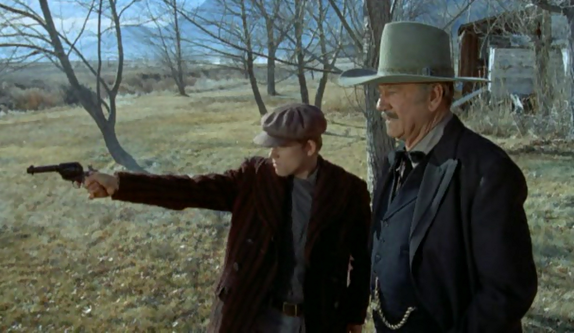 The Shootist (1976)