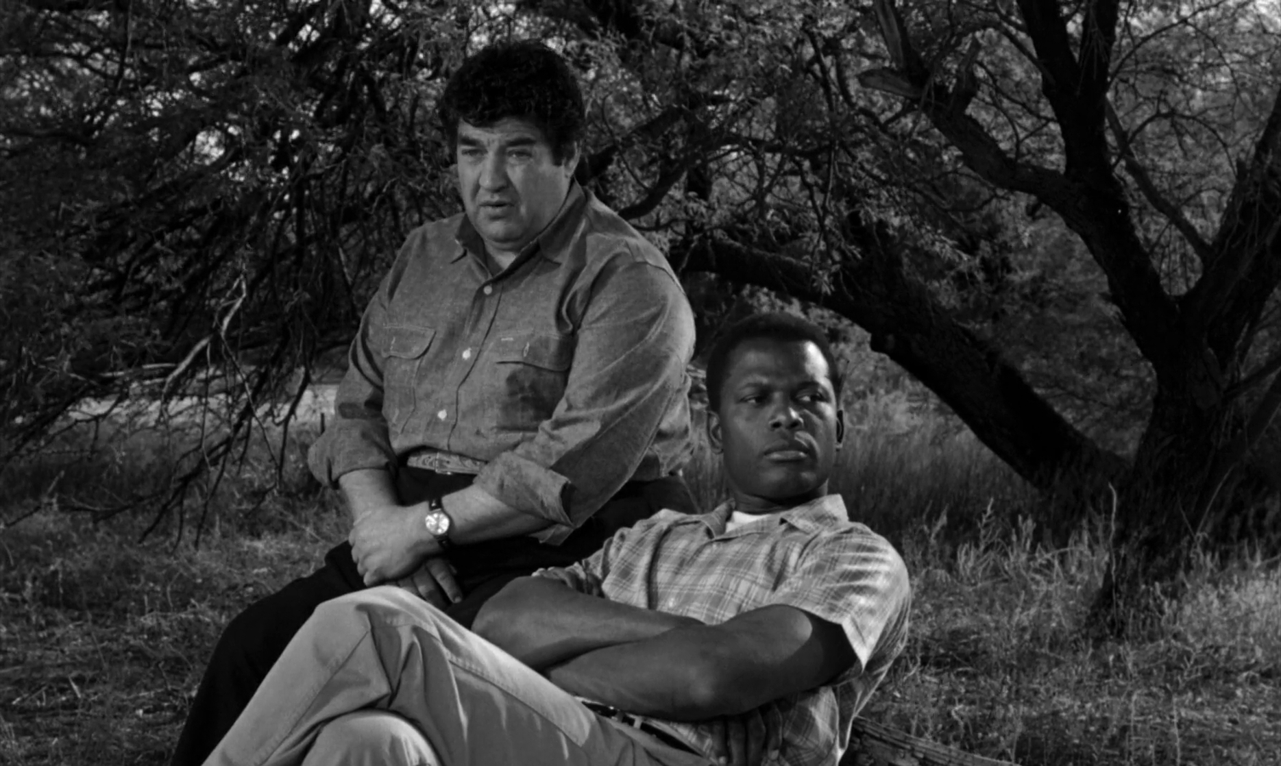 Lilies of the Field (1963) Lilies of the Field (1963)