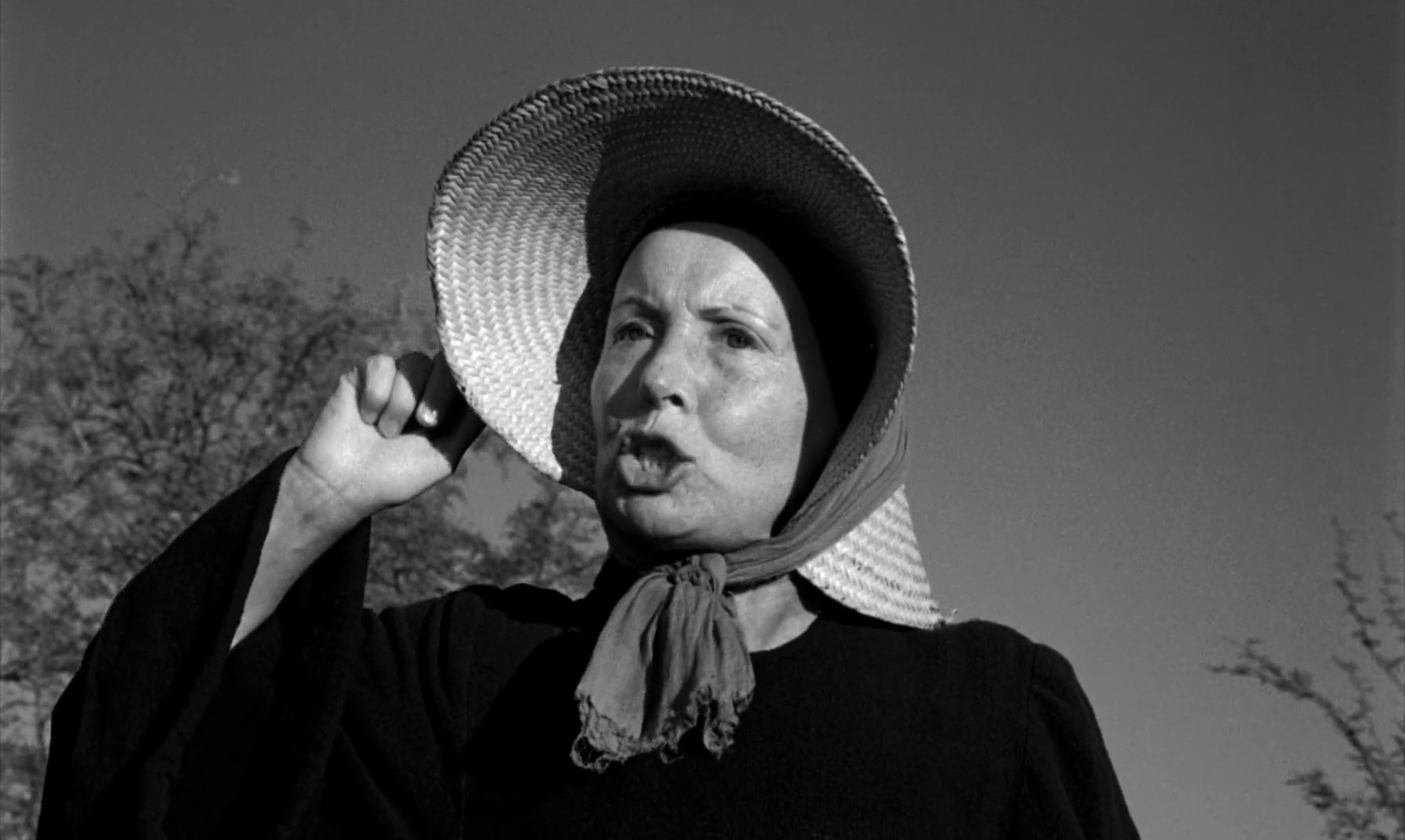 Lilies of the Field (1963) Lilies of the Field (1963)