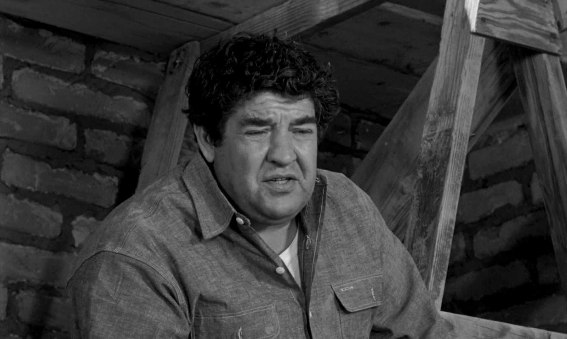 Lilies of the Field (1963) Lilies of the Field (1963)