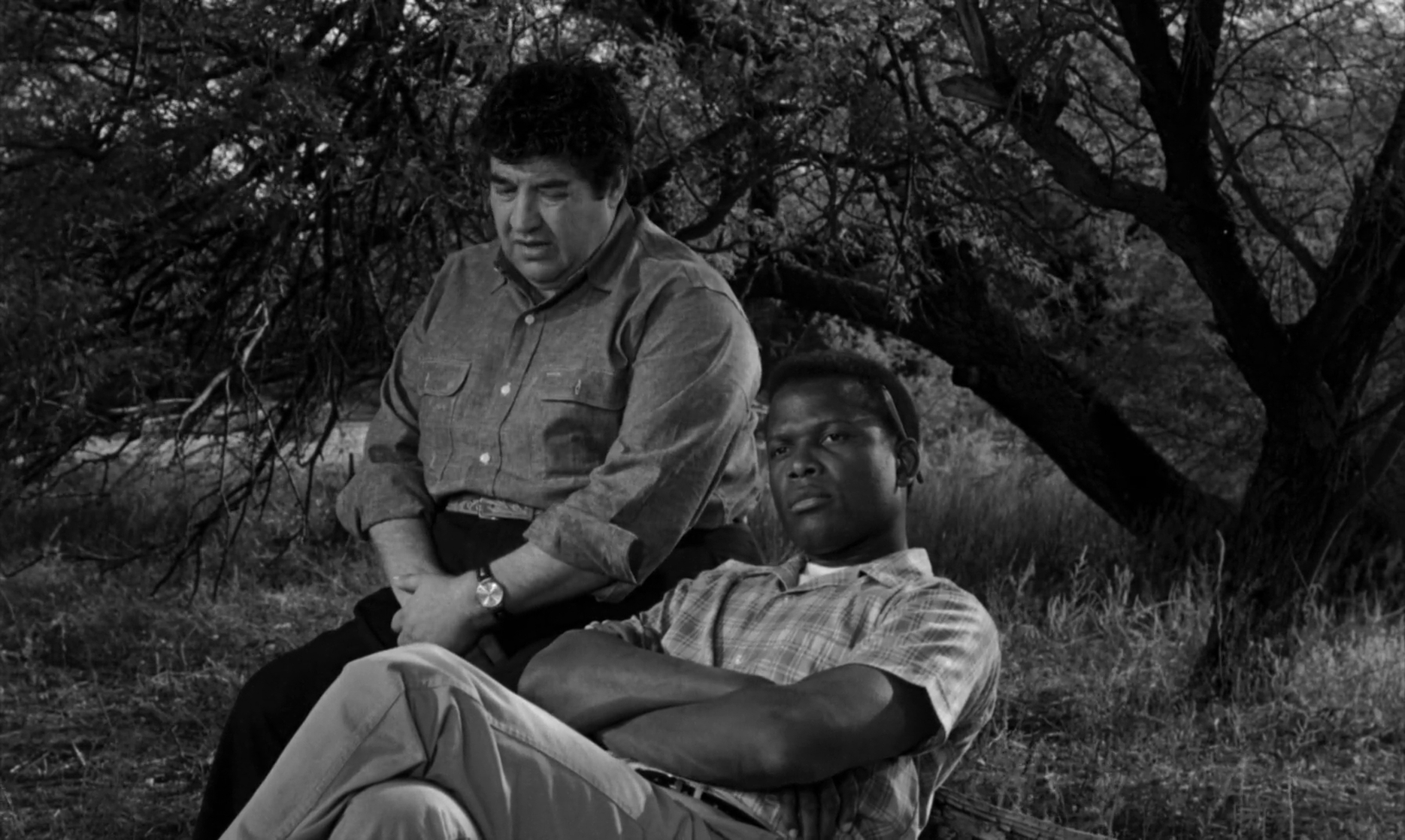Stanley Adams and Sidney Poitier