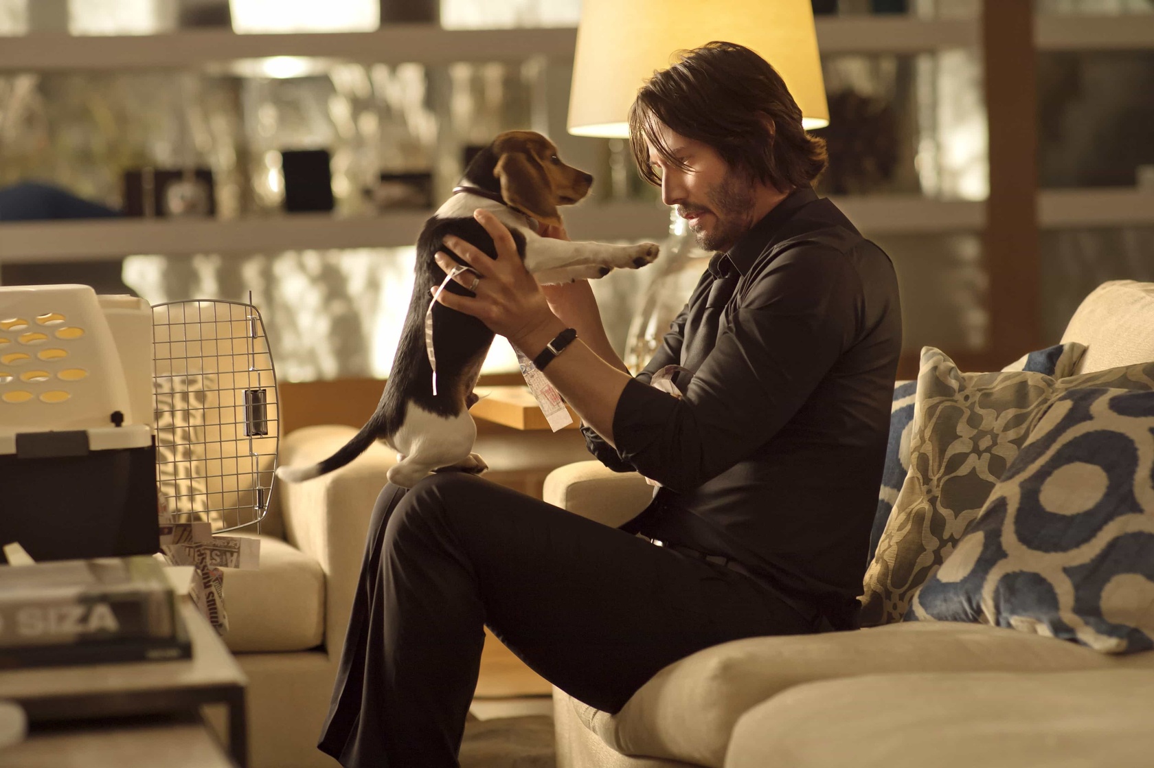 Daisy (John Wick)