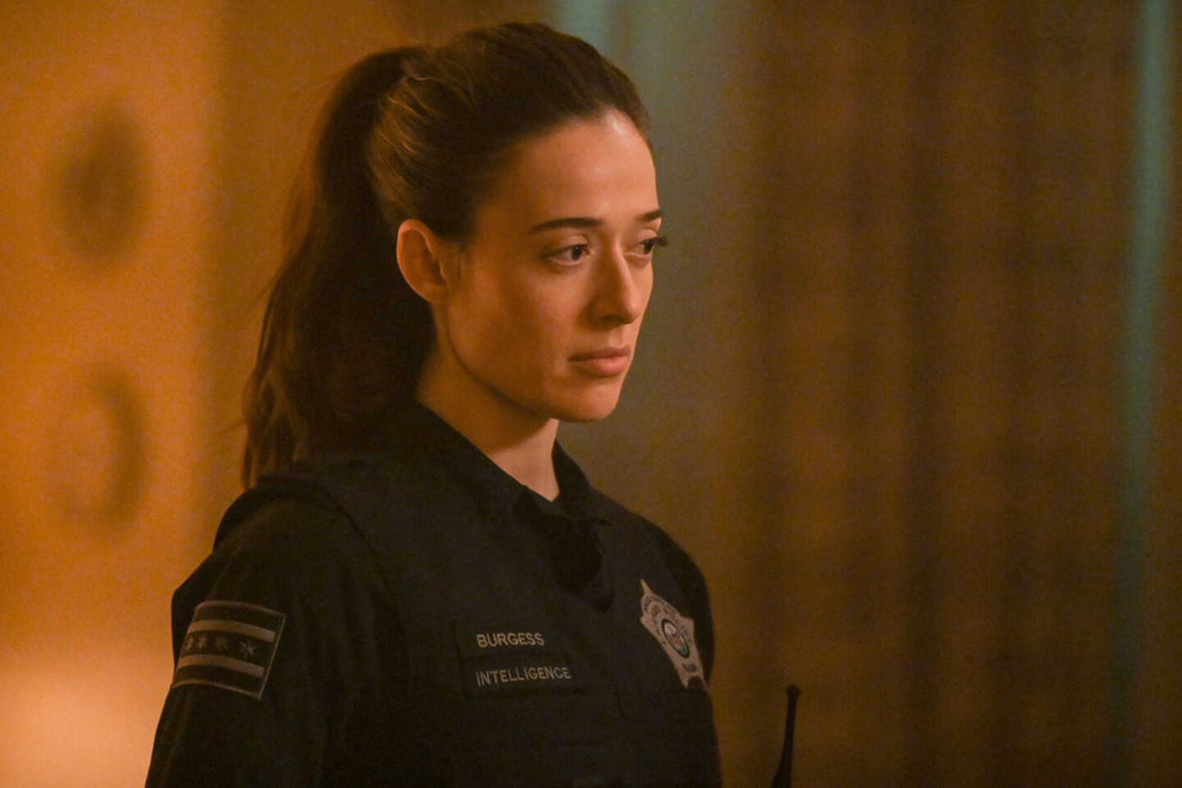 Chicago P.D. Chicago P.D.