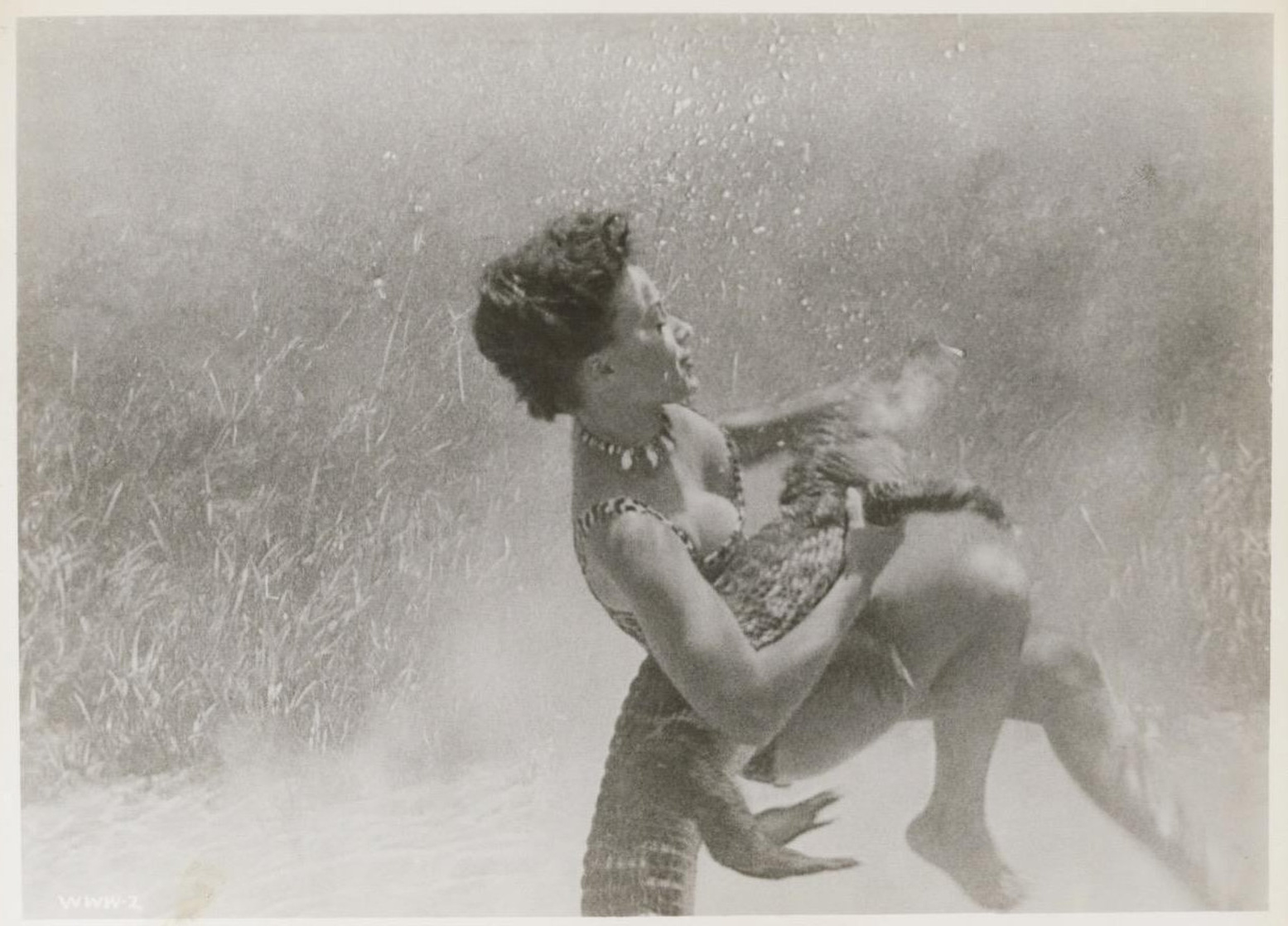 The Wild Women of Wongo (1958)