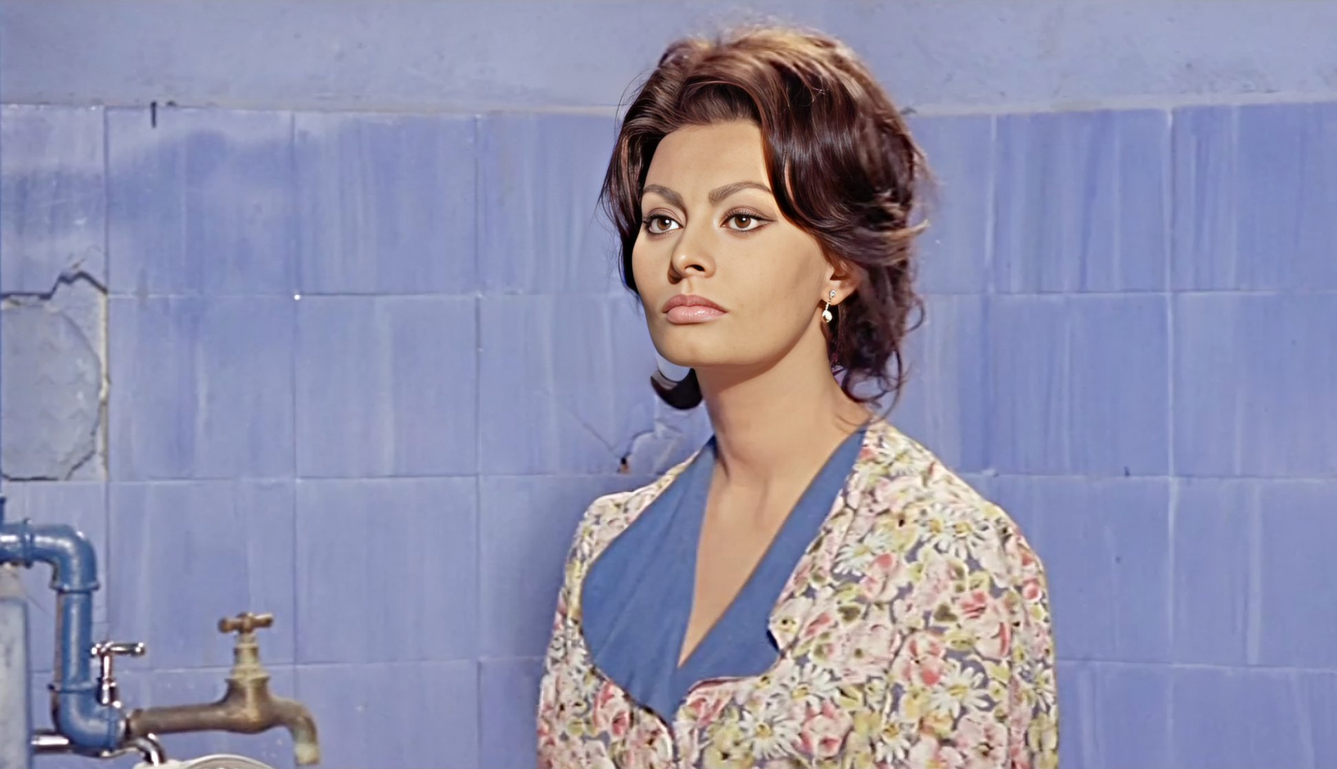 Sophia Loren