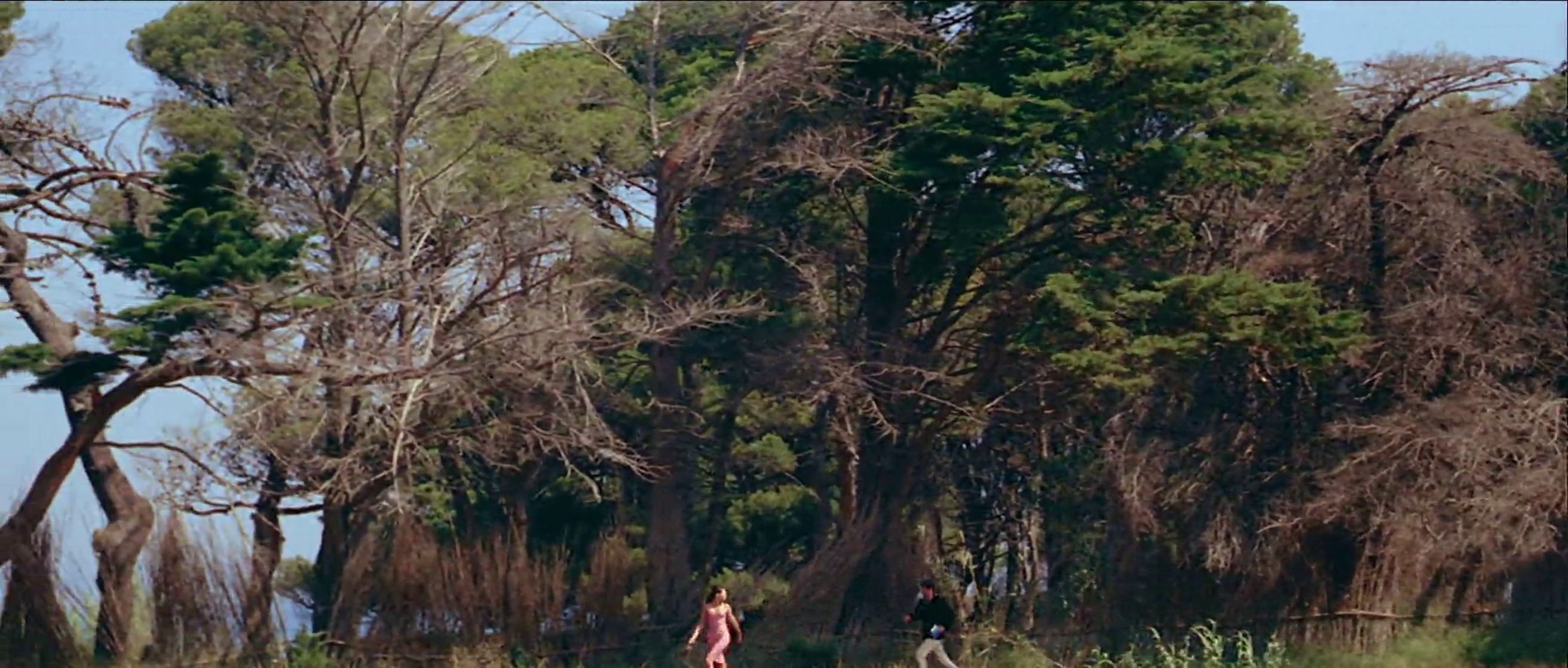 Pierrot le Fou