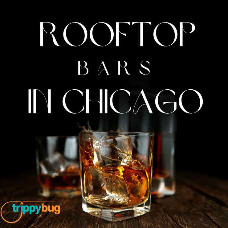 Rooftop Bars In Chicago rooftop-bars-in-chicago