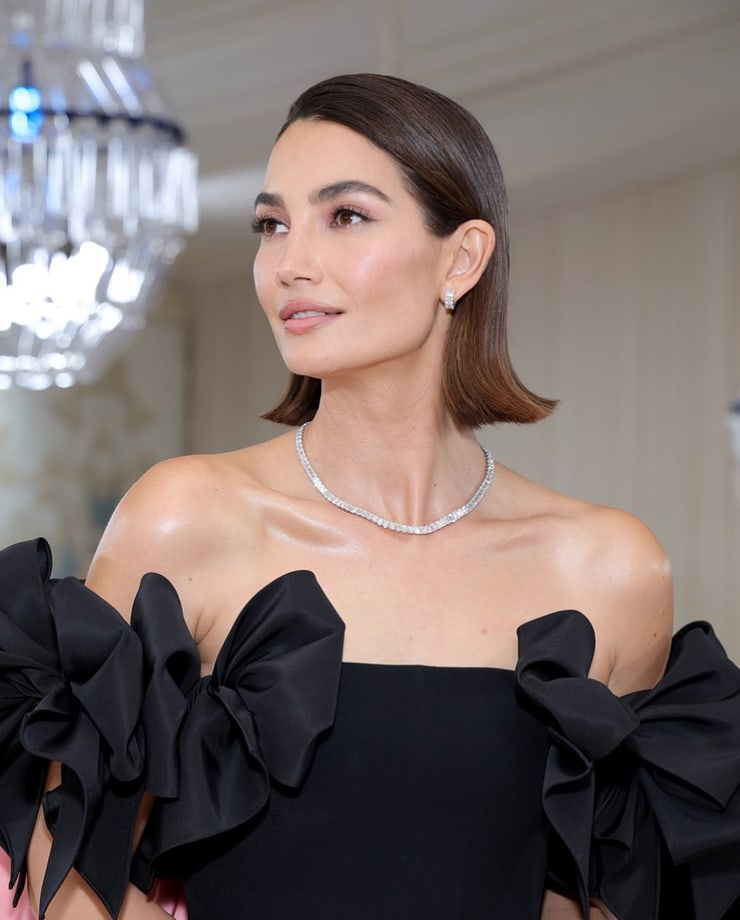 Picture of Lily Aldridge