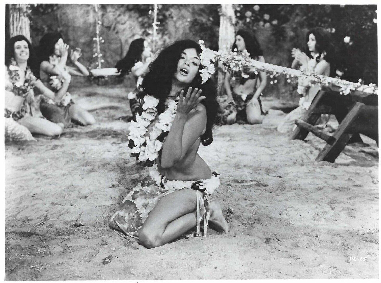 Primitive Love