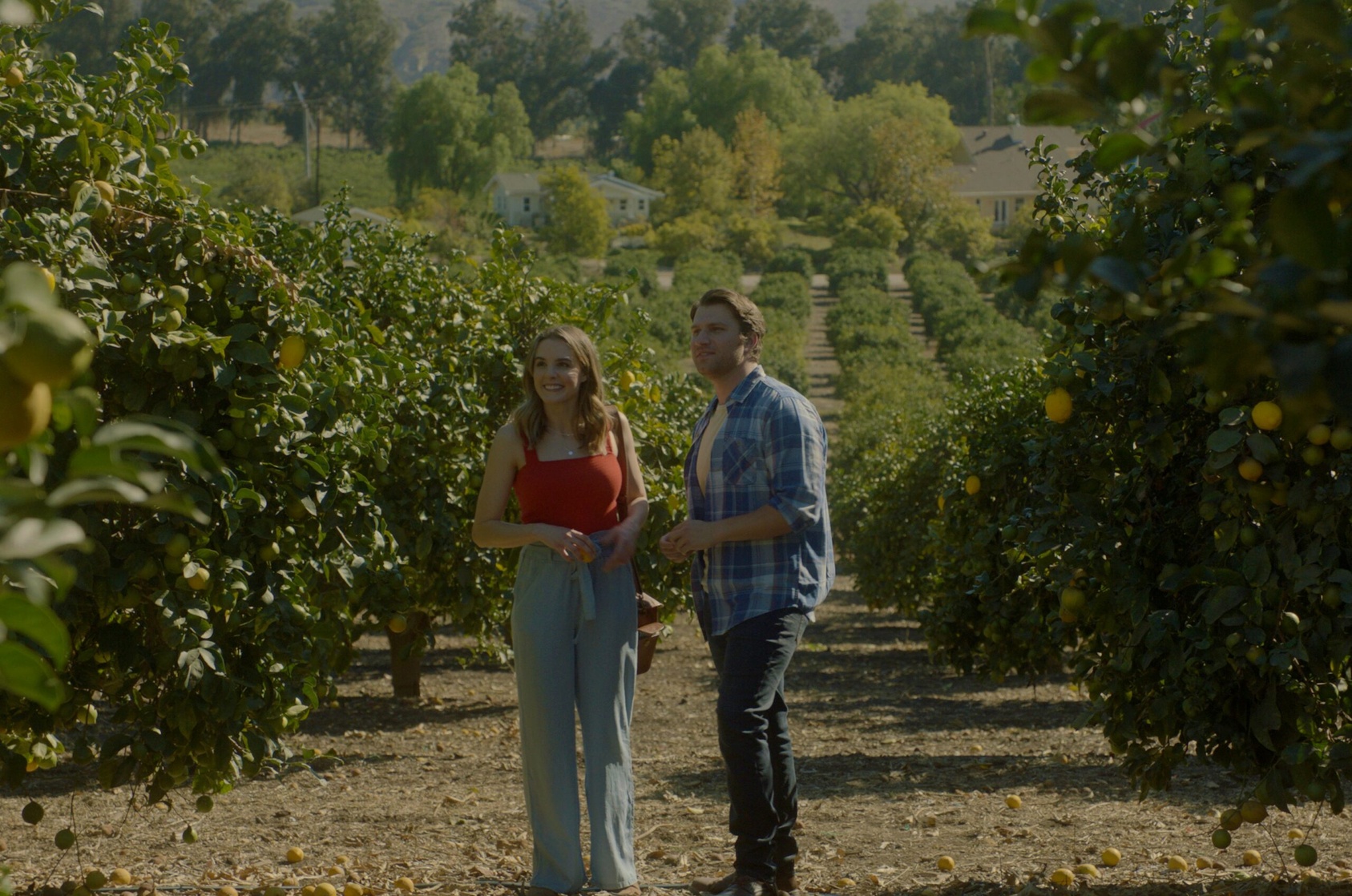 Love Under the Lemon Tree