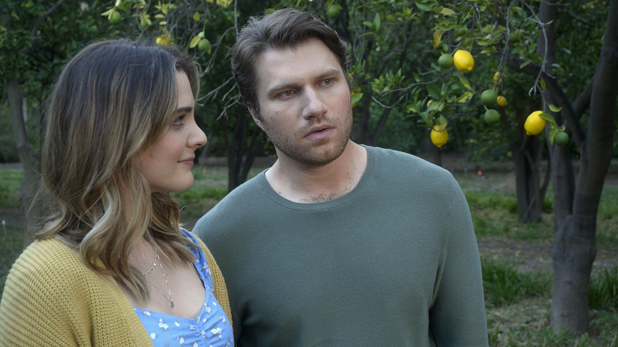 Love Under the Lemon Tree