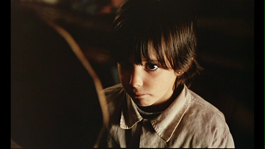 The Spirit of the Beehive (1973)