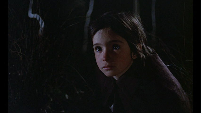 The Spirit of the Beehive (1973)