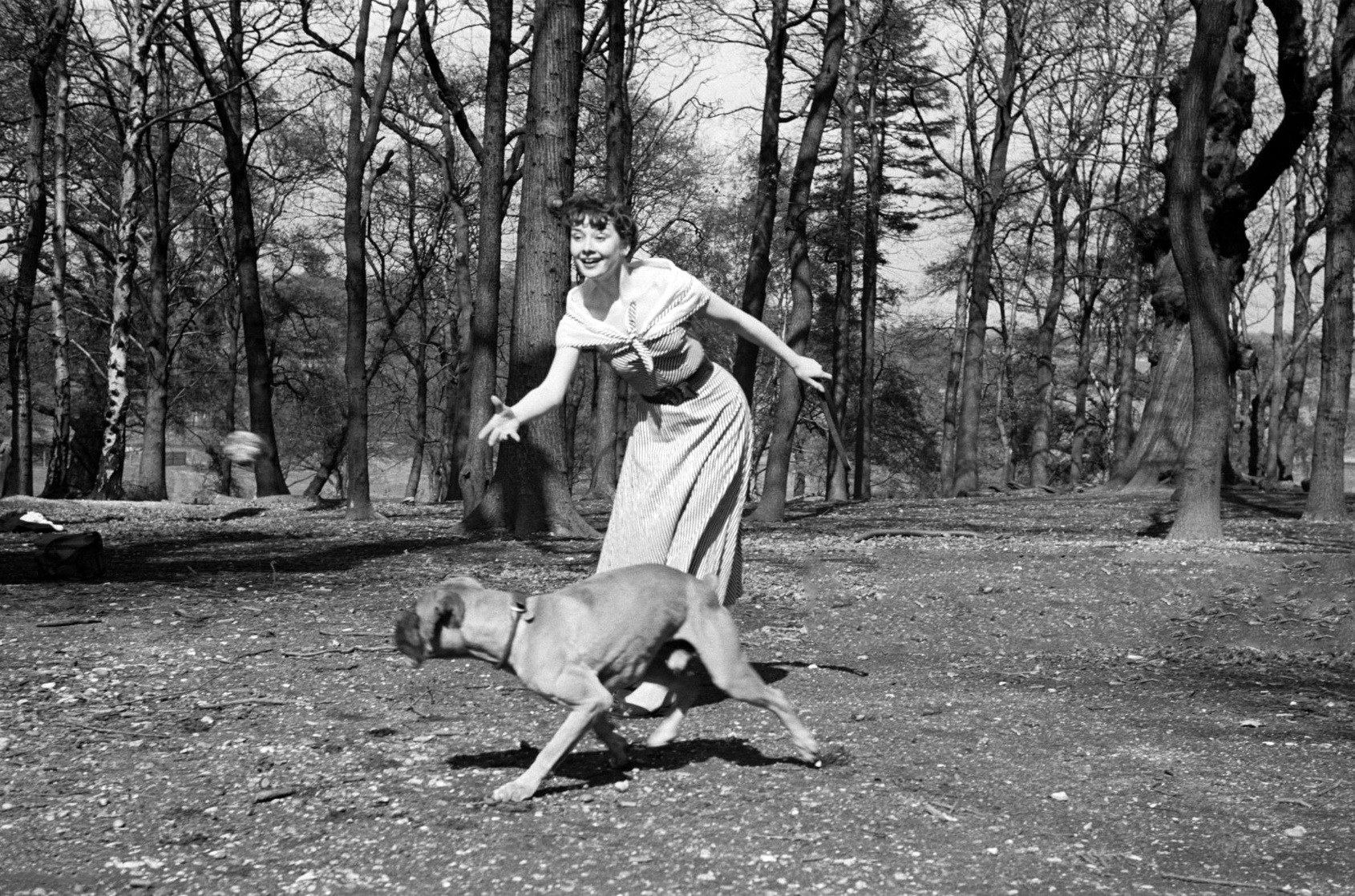 Audrey Hepburn Audrey Hepburn