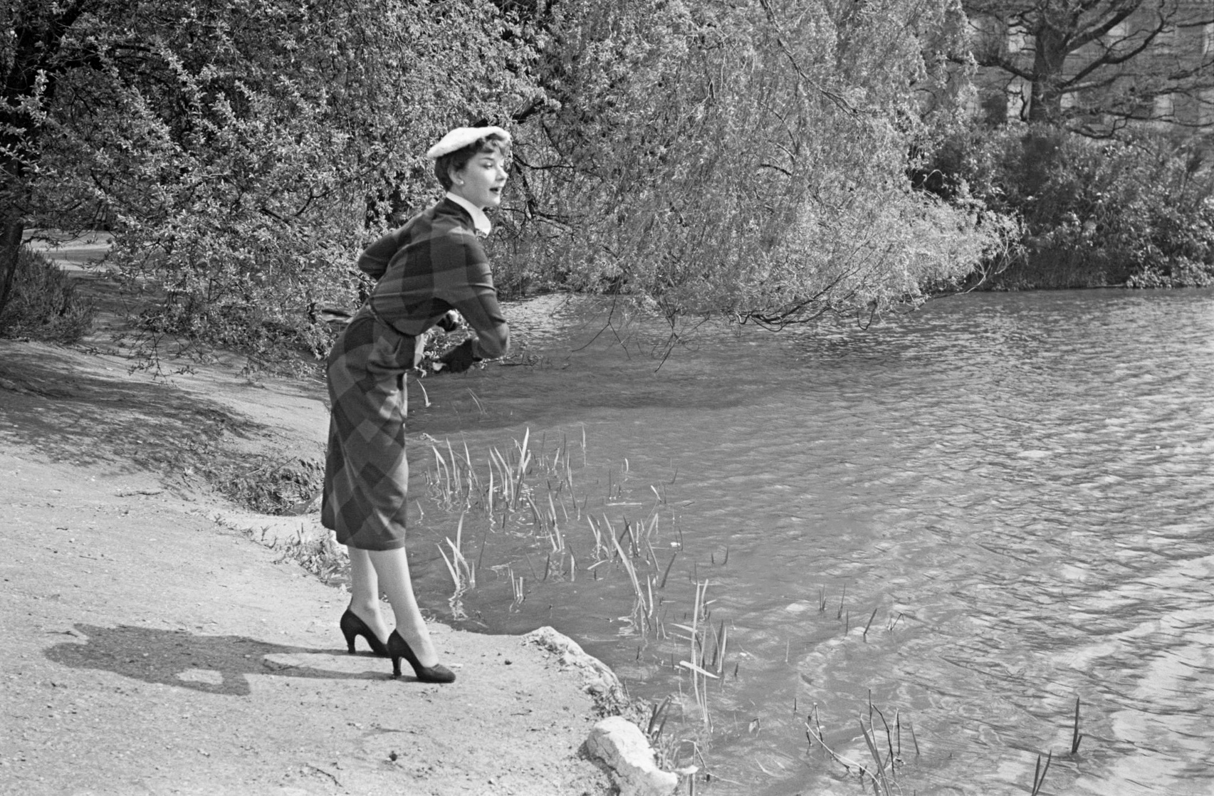 Audrey Hepburn Audrey Hepburn