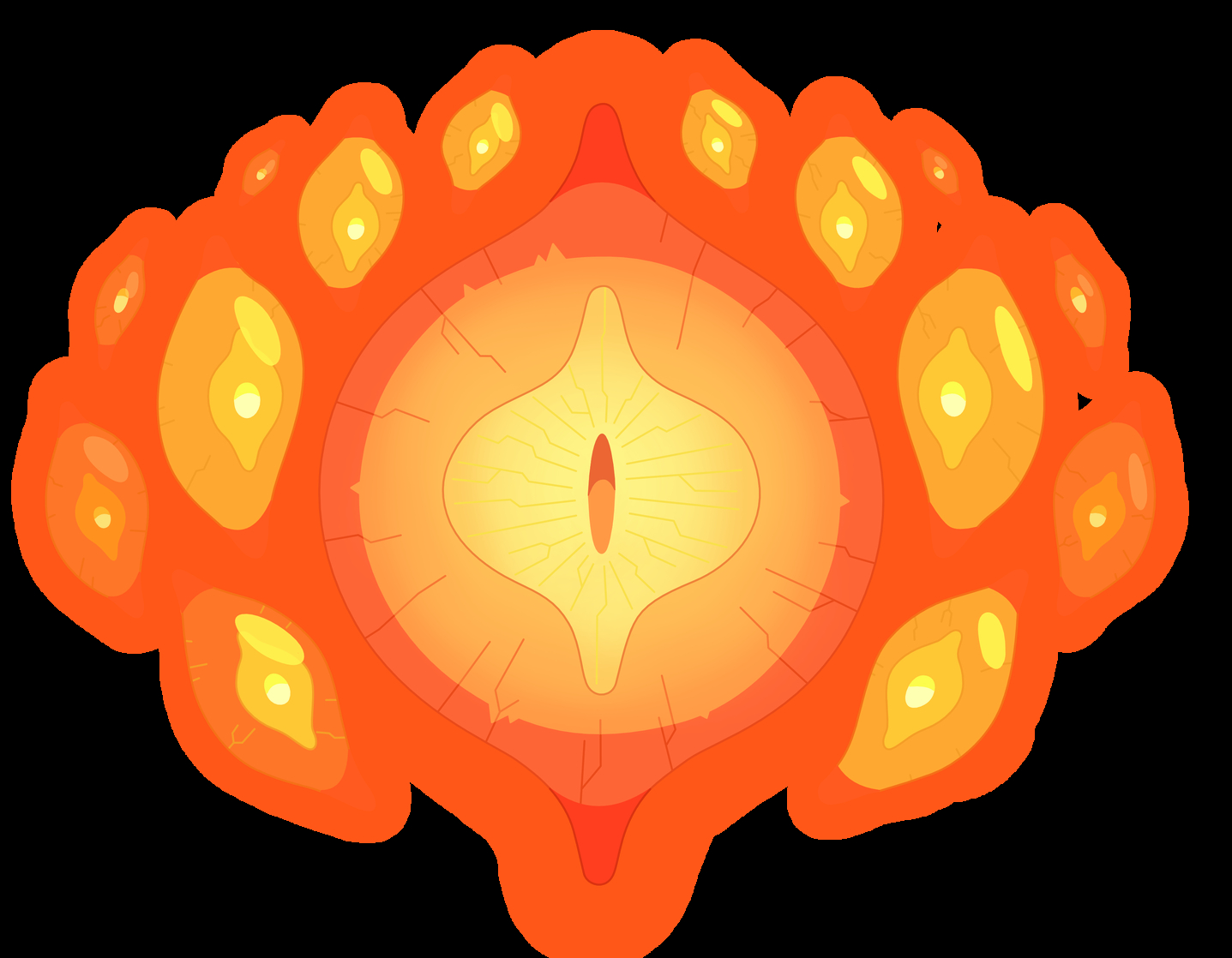 The Core (Amphibia)