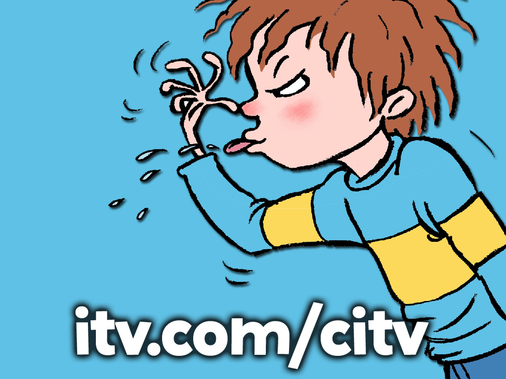 Horrid Henry                                  (2006- )