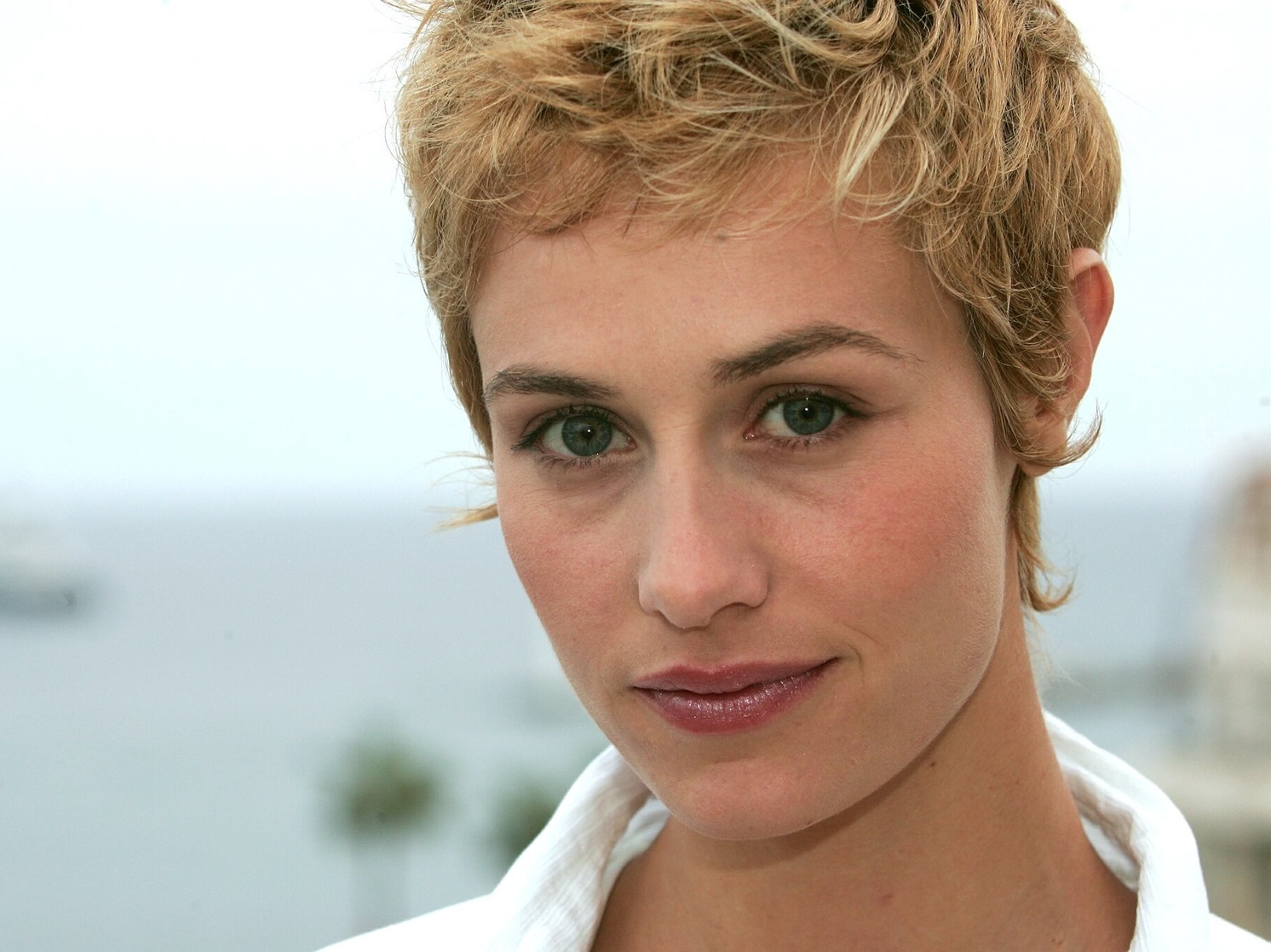 Cécile De France