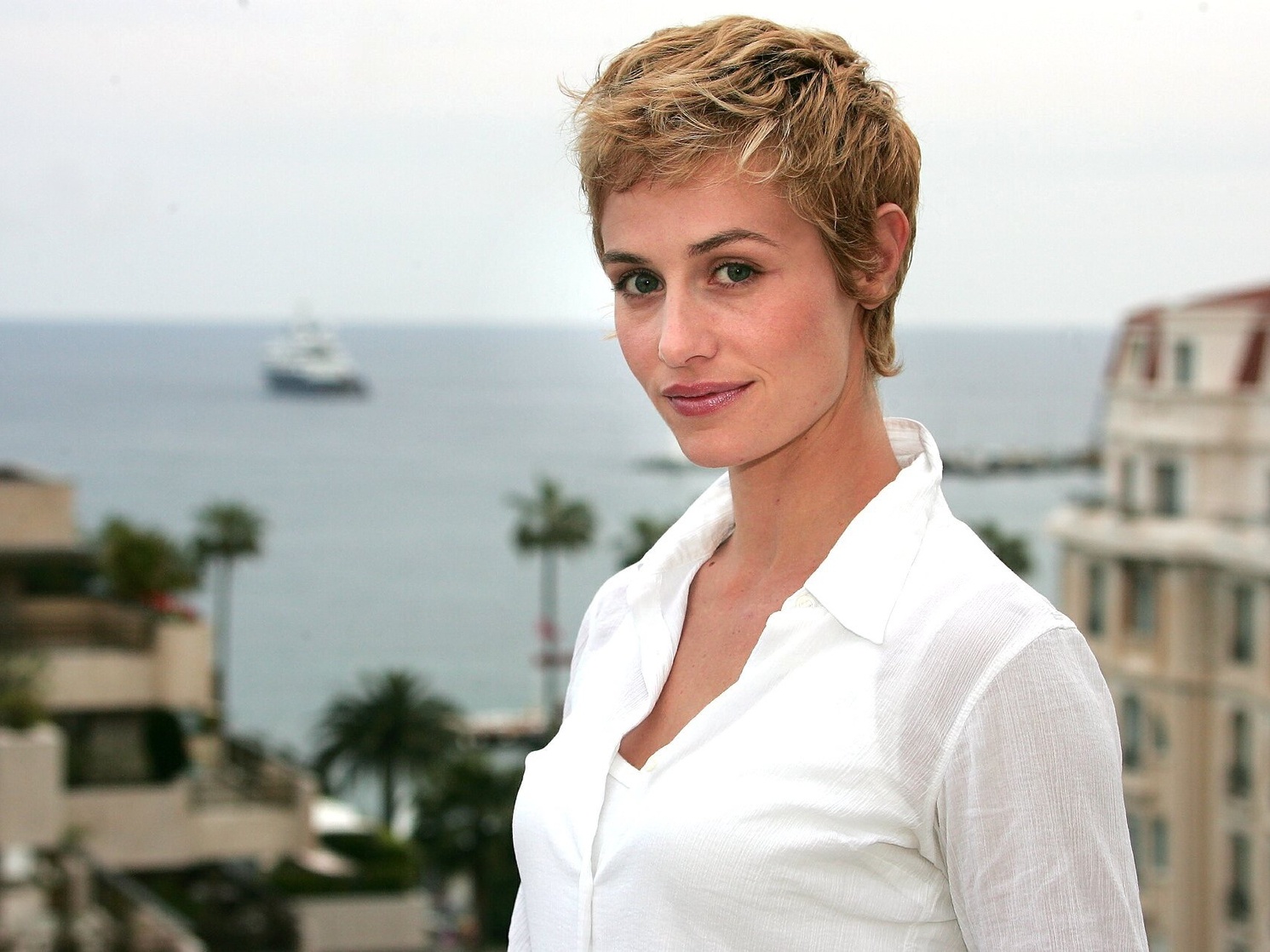 Cécile De France