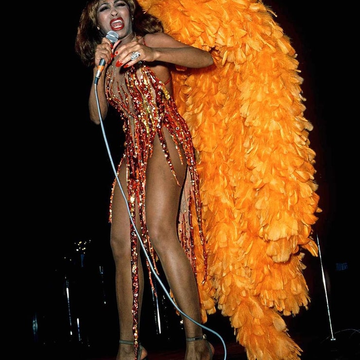 Tina Turner Image 6870