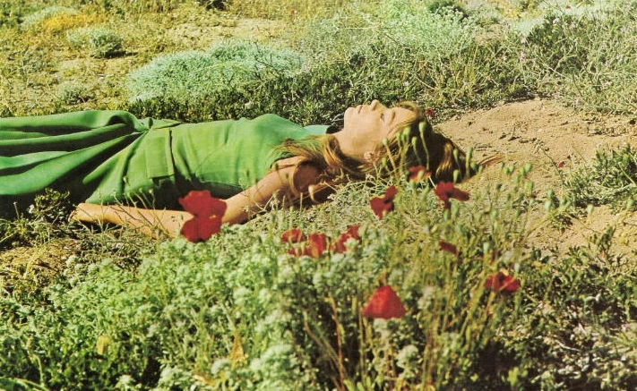 Image of Françoise Hardy