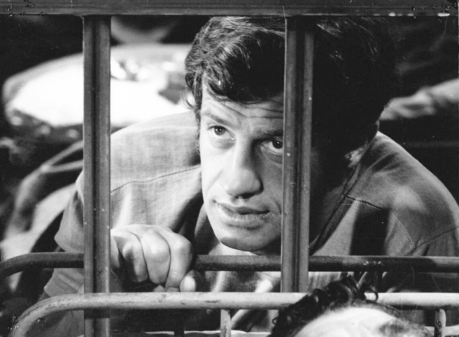 Jean-Paul Belmondo