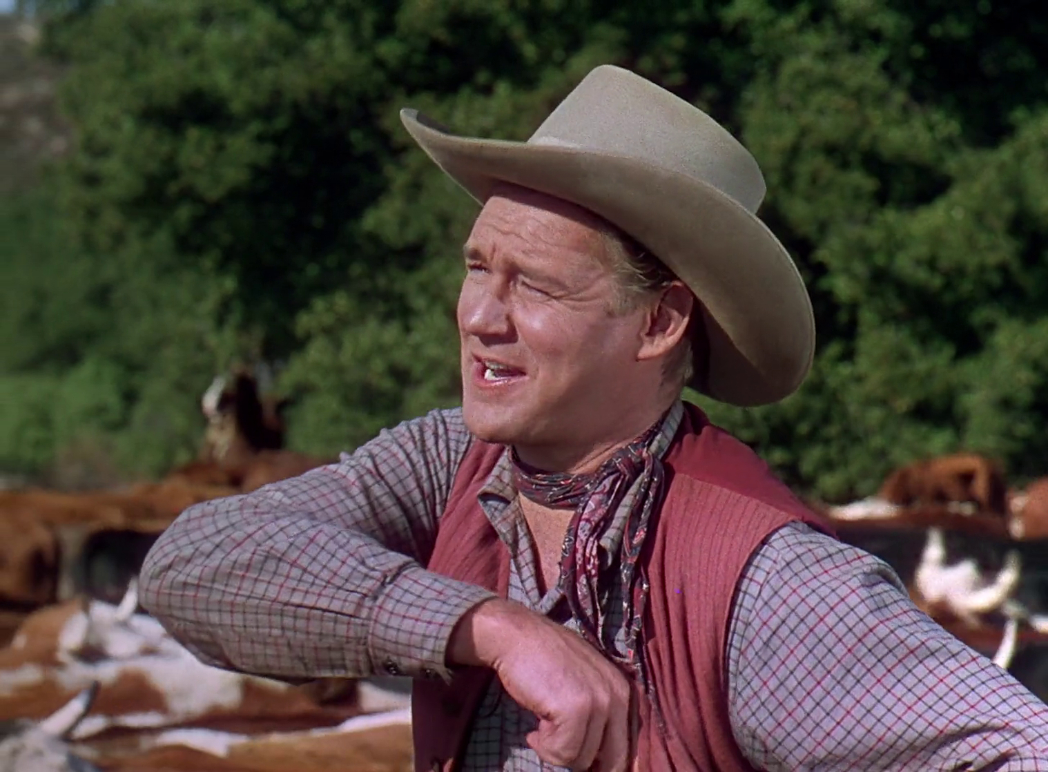 The Virginian