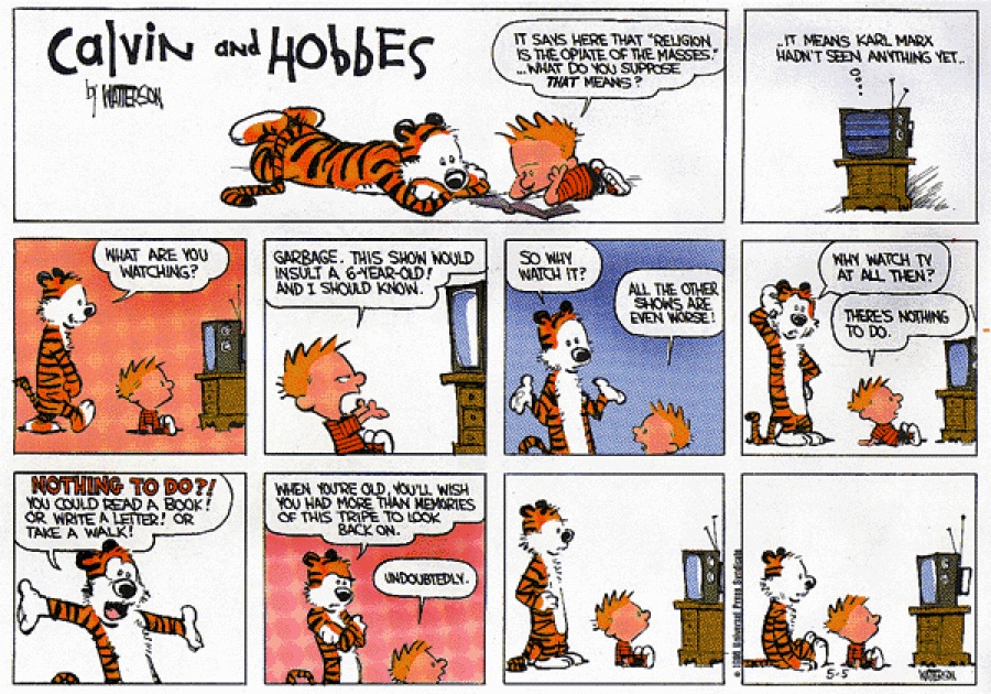 Calvin And Hobbes