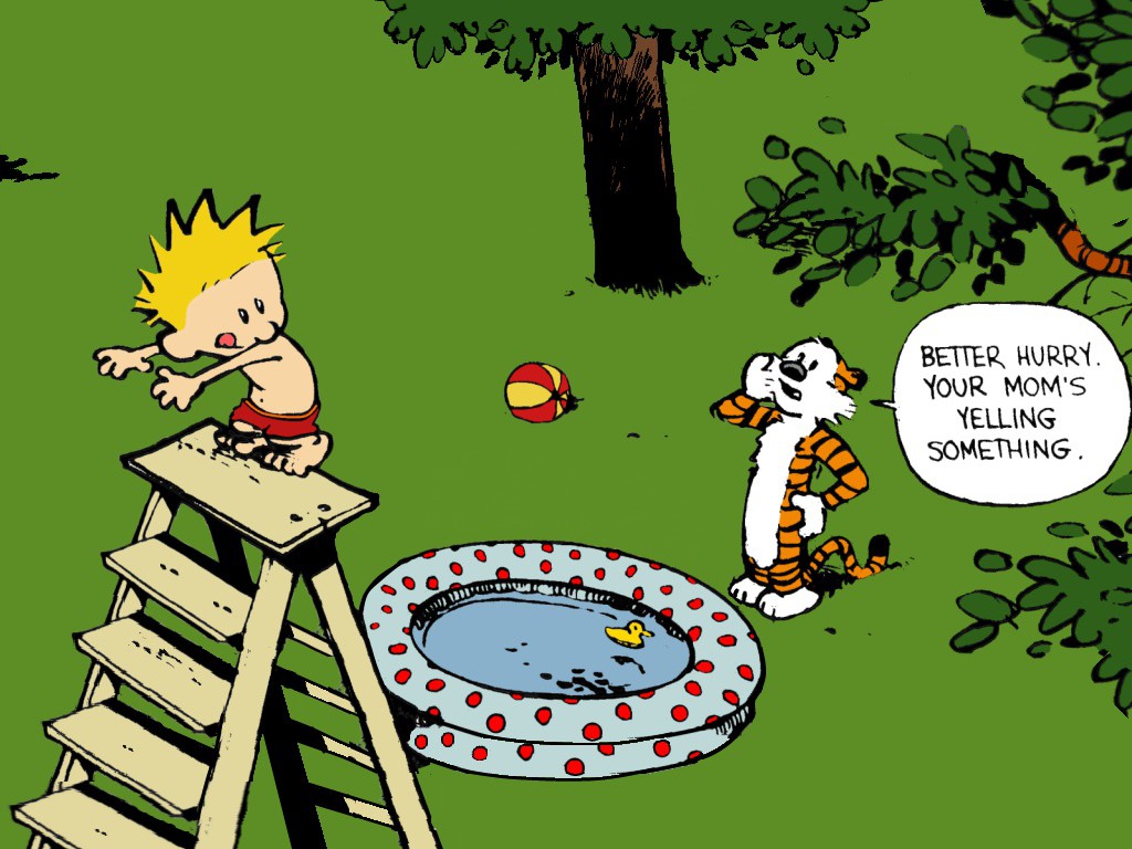 Calvin And Hobbes