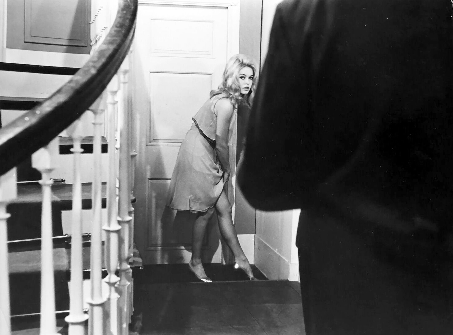 Brigitte Bardot